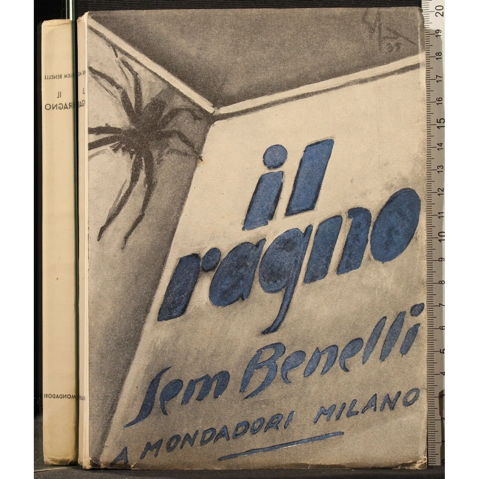 IL RAGNO _x000D_