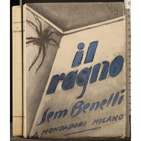 IL RAGNO _x000D_