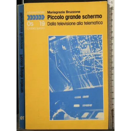 PICCOLO GRANDE SCHERMO. DALLA TELEVISIONE ALLA TELEMATICA