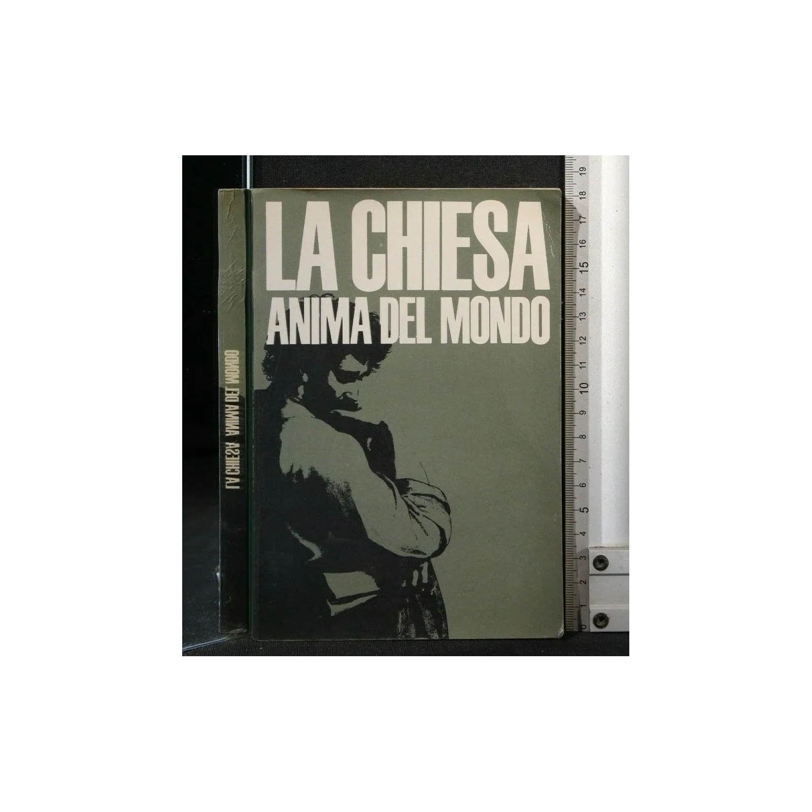 LA CHIESA ANIMA DEL MONDO