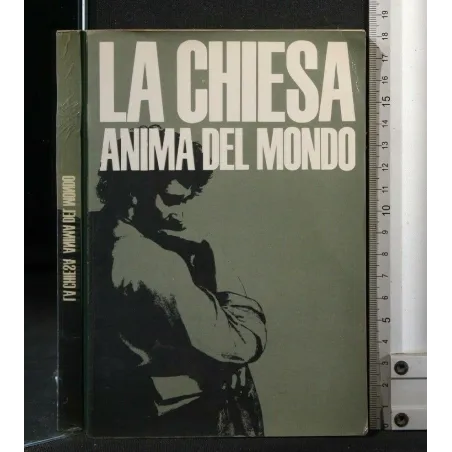LA CHIESA ANIMA DEL MONDO