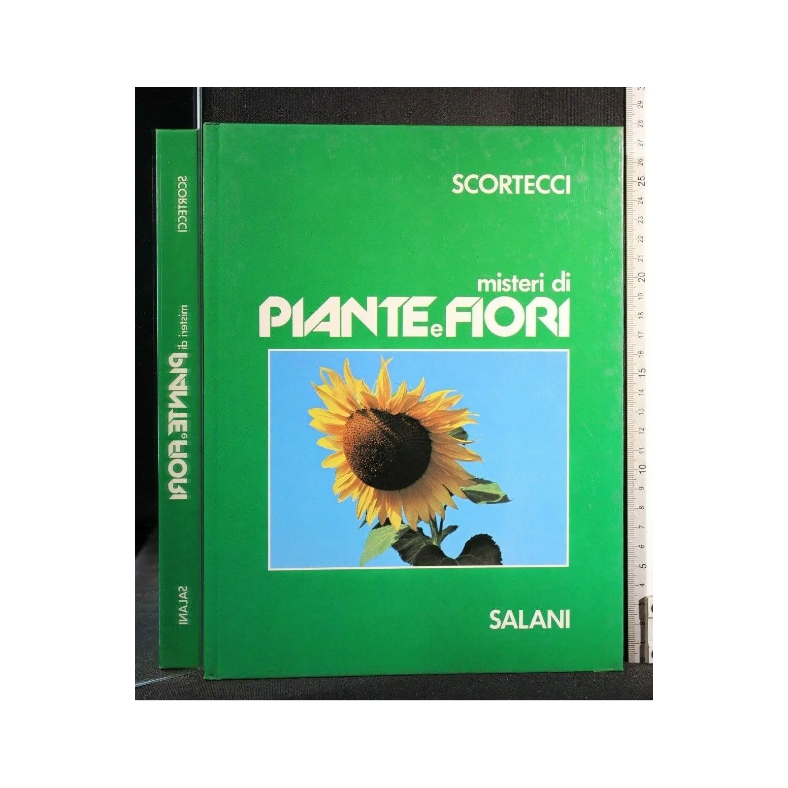 MISTERI DI PIANTE E FIORI