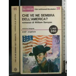 CHE VE NE SEMBRA DELL'AMERICA?