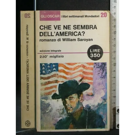 CHE VE NE SEMBRA DELL'AMERICA?