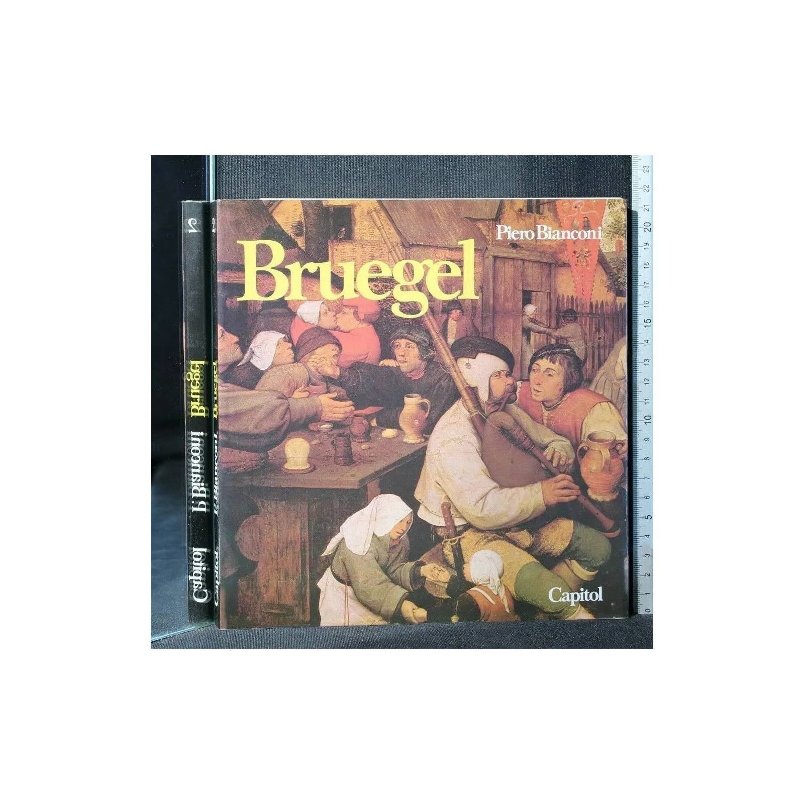 BRUEGEL