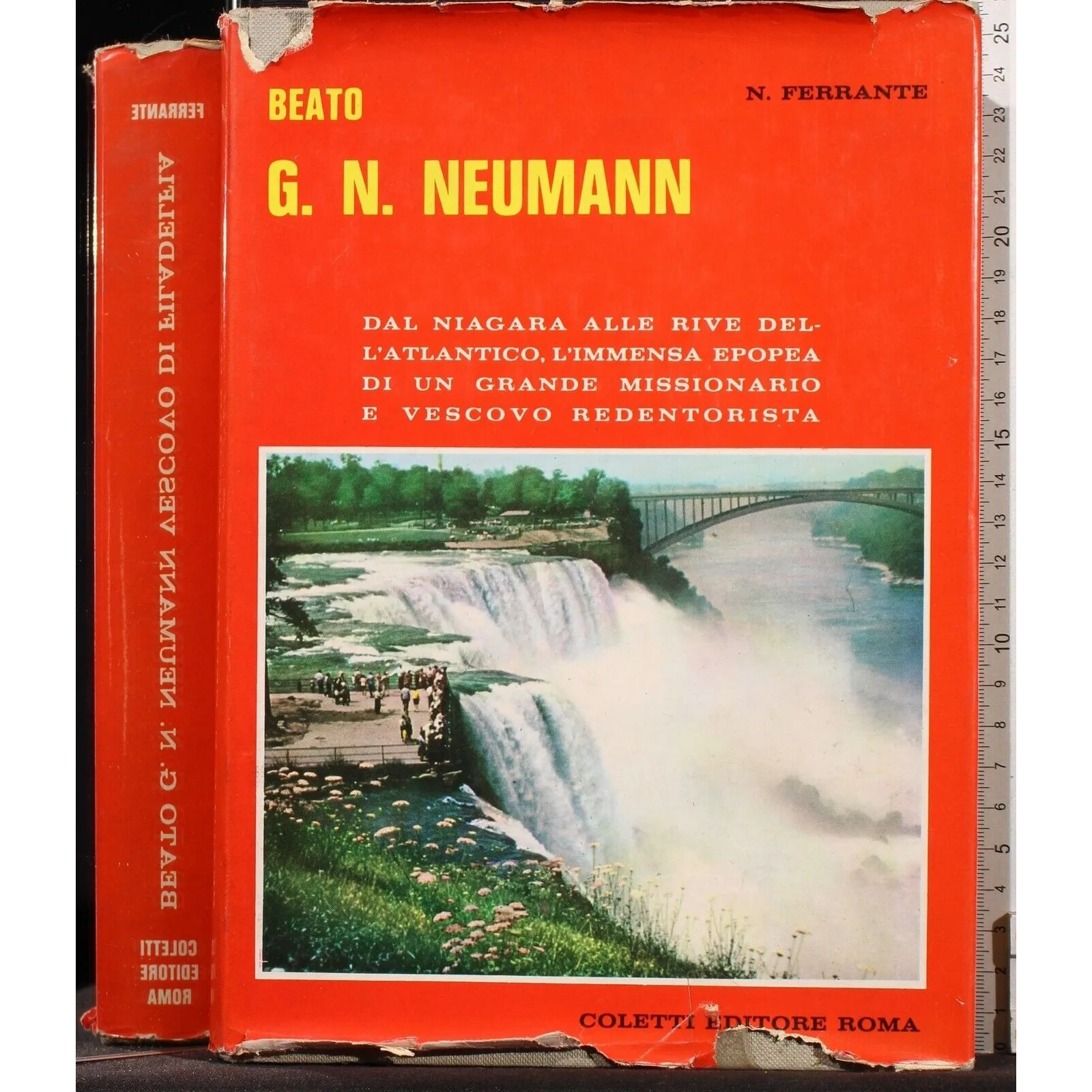 BEATO G N NEUMANN _x000D_