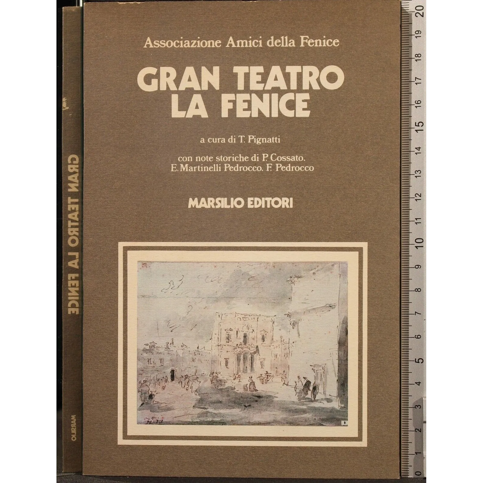 LE STAGIONI DEL CINEMA
