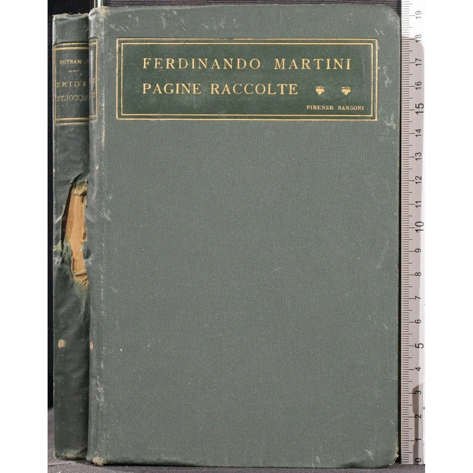 PAGINE RACCOLTE _x000D_