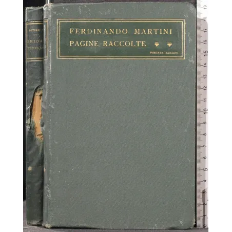 PAGINE RACCOLTE _x000D_