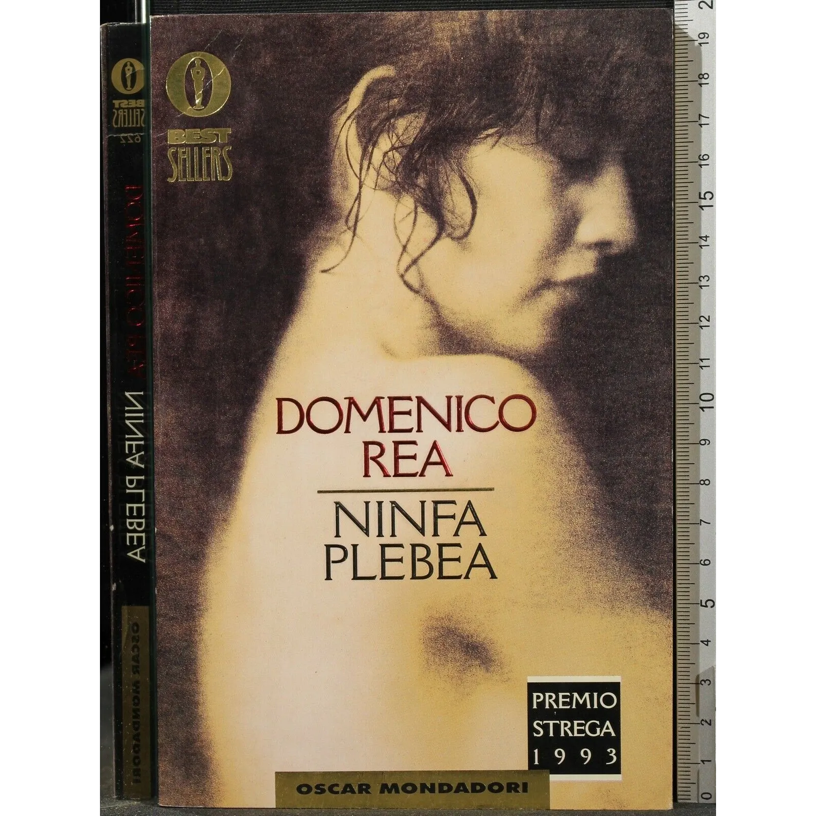 NINFA PLEBEA _x000D_
