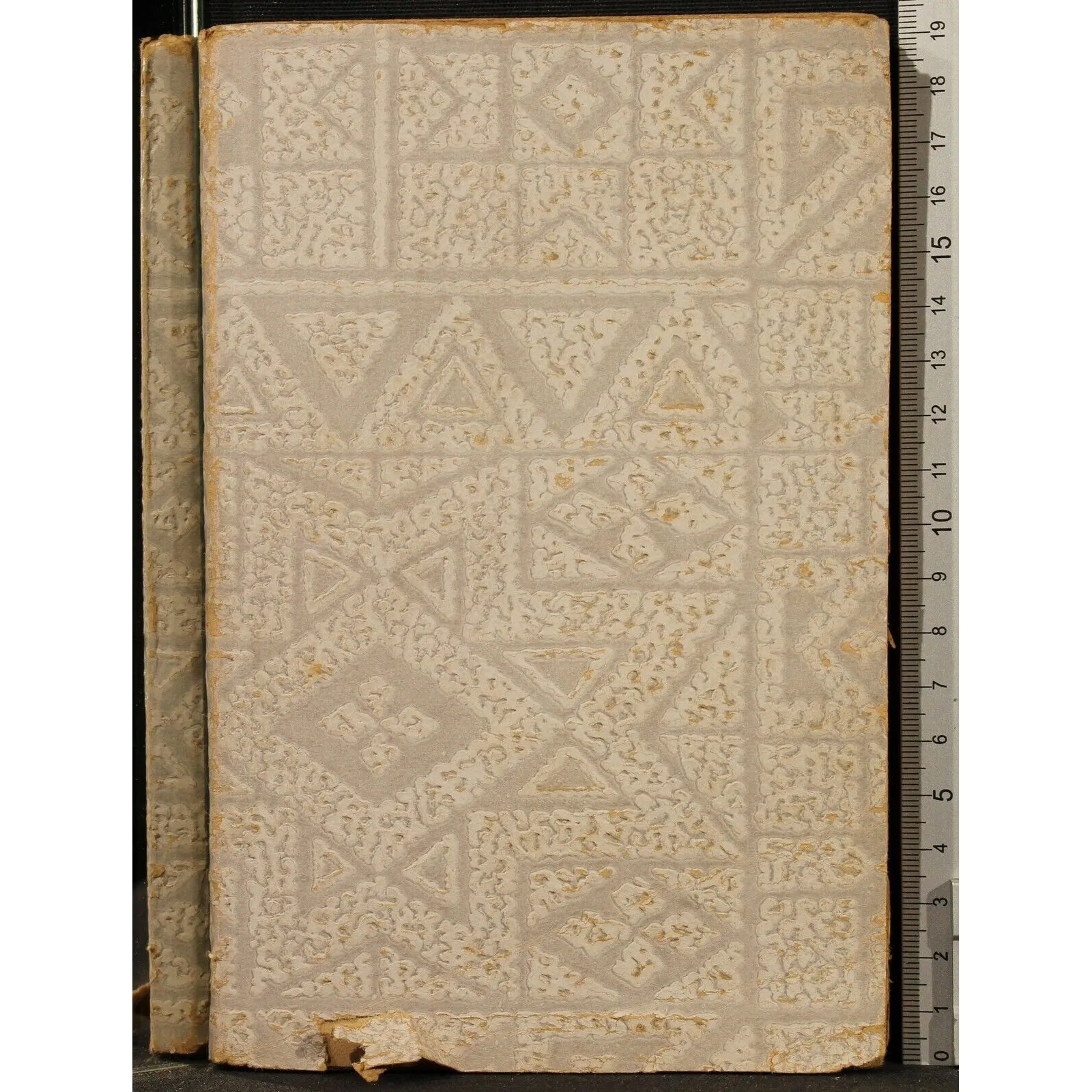 LOTTE POLITICO-SOCIALI