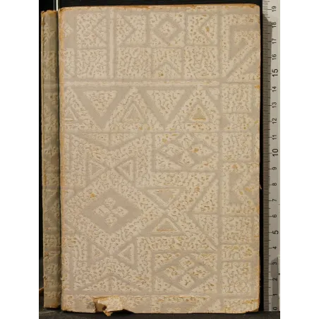 LOTTE POLITICO-SOCIALI