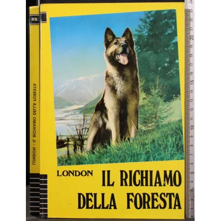 IL RICHIAMO DELLA FORESTA _x000D_