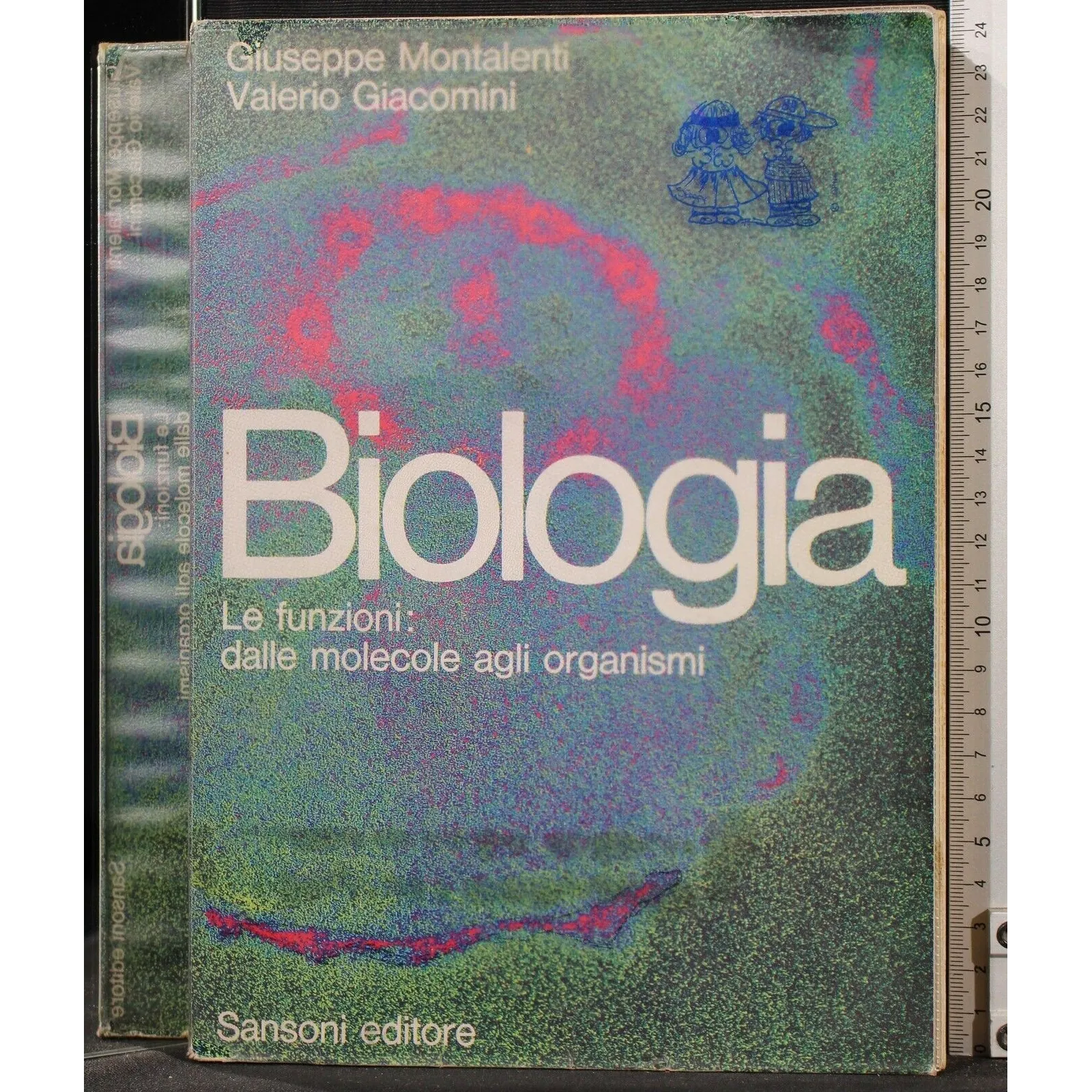 BIOLOGIA. LE FUNZIONI