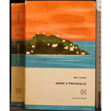 AMORE E PROTOCOLLO _x000D_
