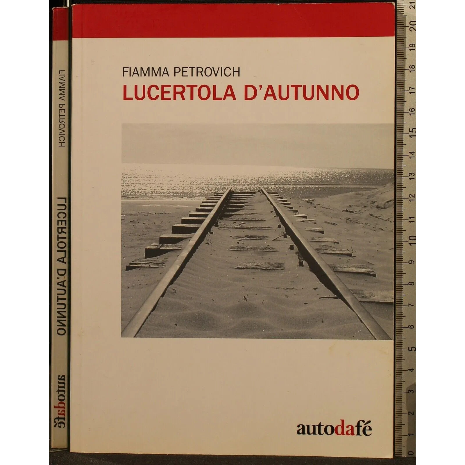 LUCERTOLA D'AUTUNNO _x000D_