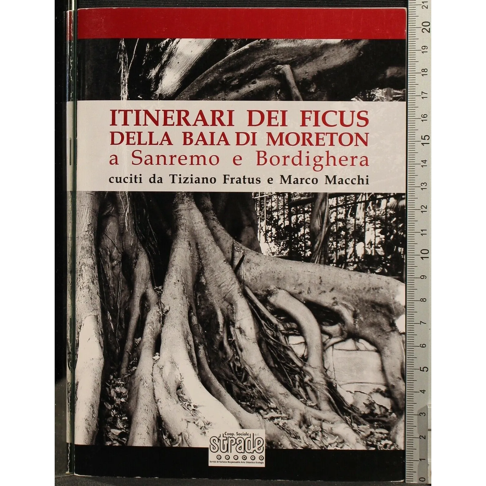 ITINERARI DEI FICUS DELLA BAIA DI MORETON A SANREMO E..