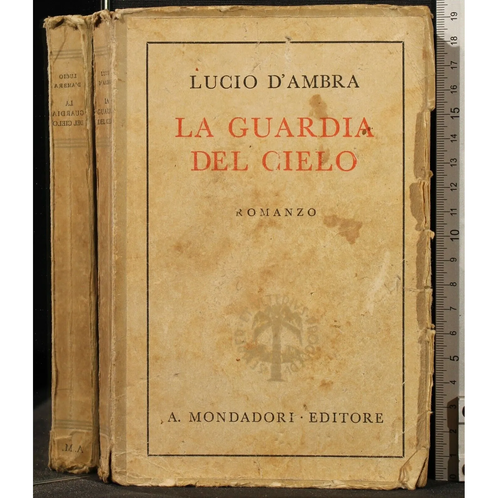 LA GUARDIA DEL CIELO _x000D_