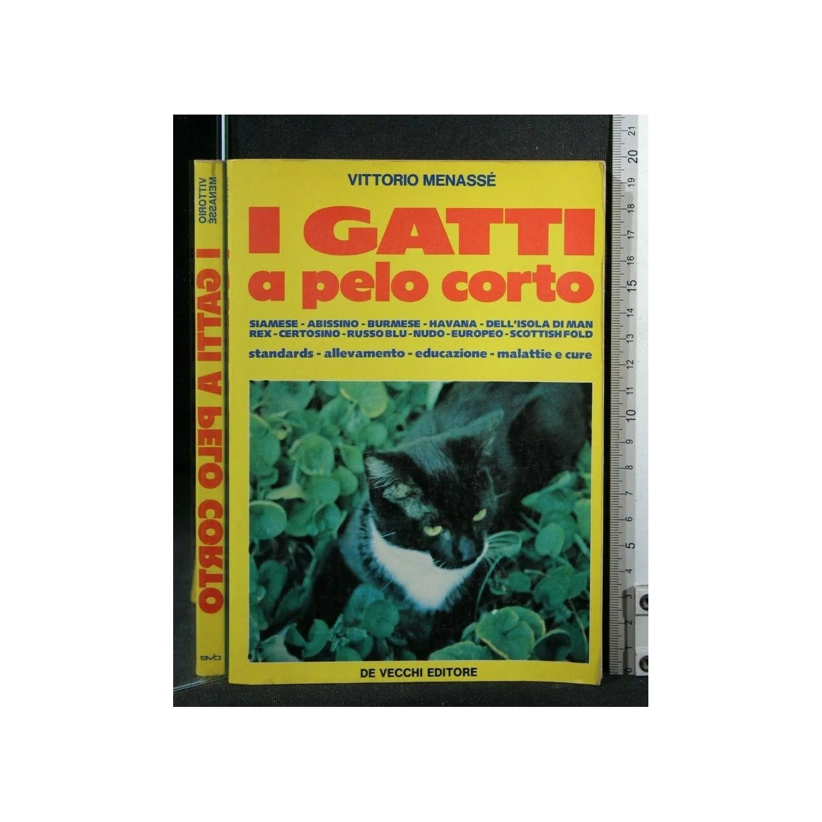 I GATTI A PELO CORTO