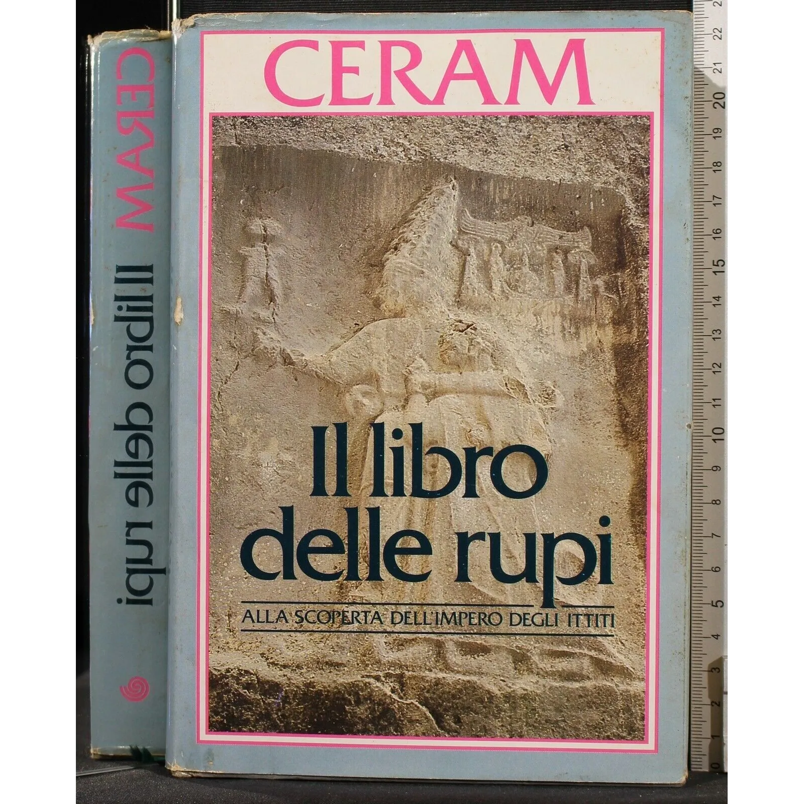 IL LIBRO DELLE RUPI