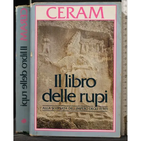 IL LIBRO DELLE RUPI