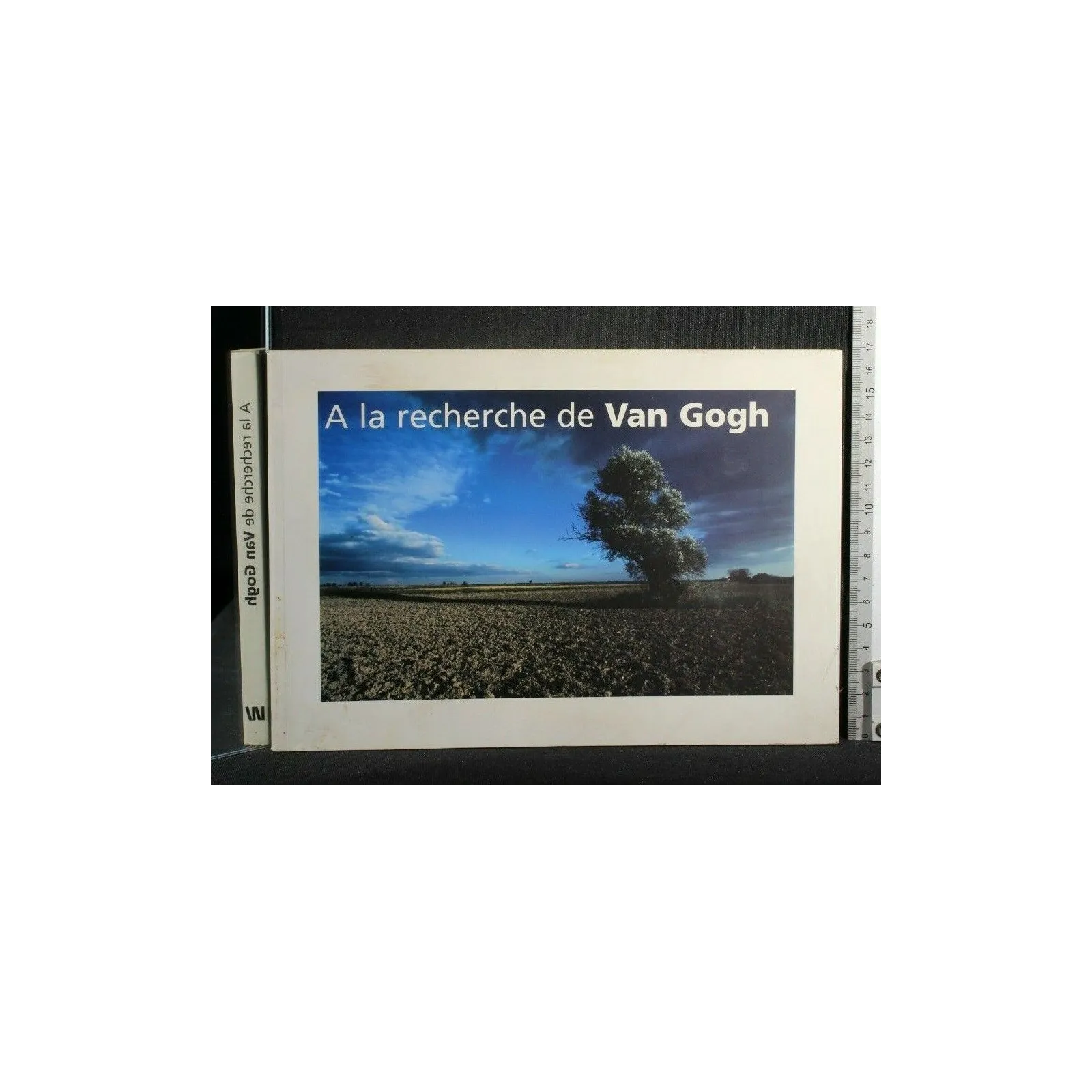 A LA RECHERCHE DE VAN GOGH