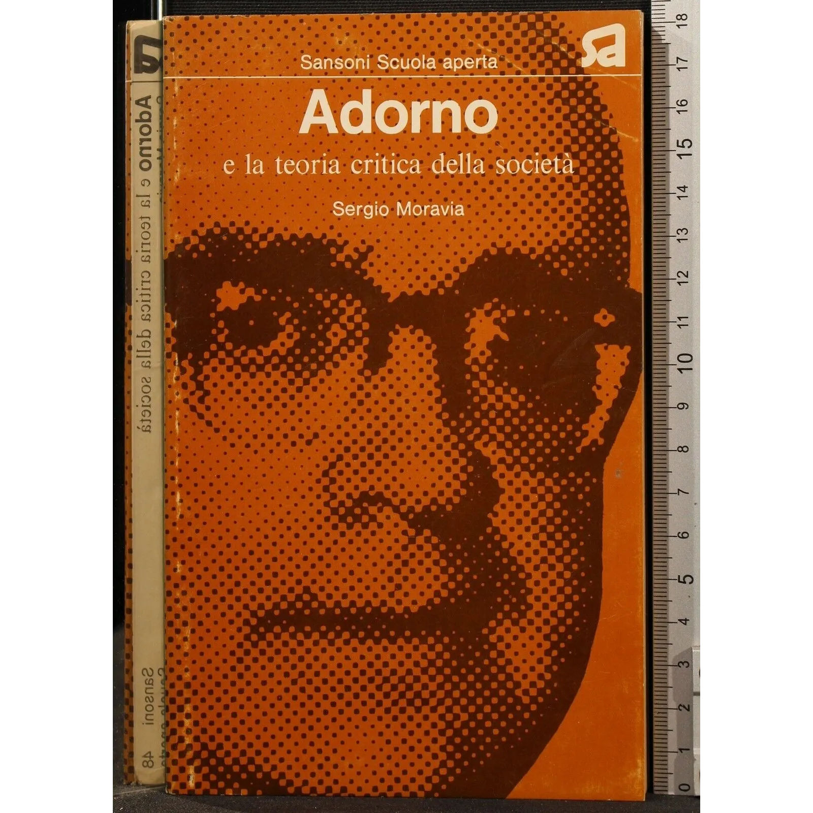 ADORNO E LA TEORIA CRITICA DELLA SOCIETÀ