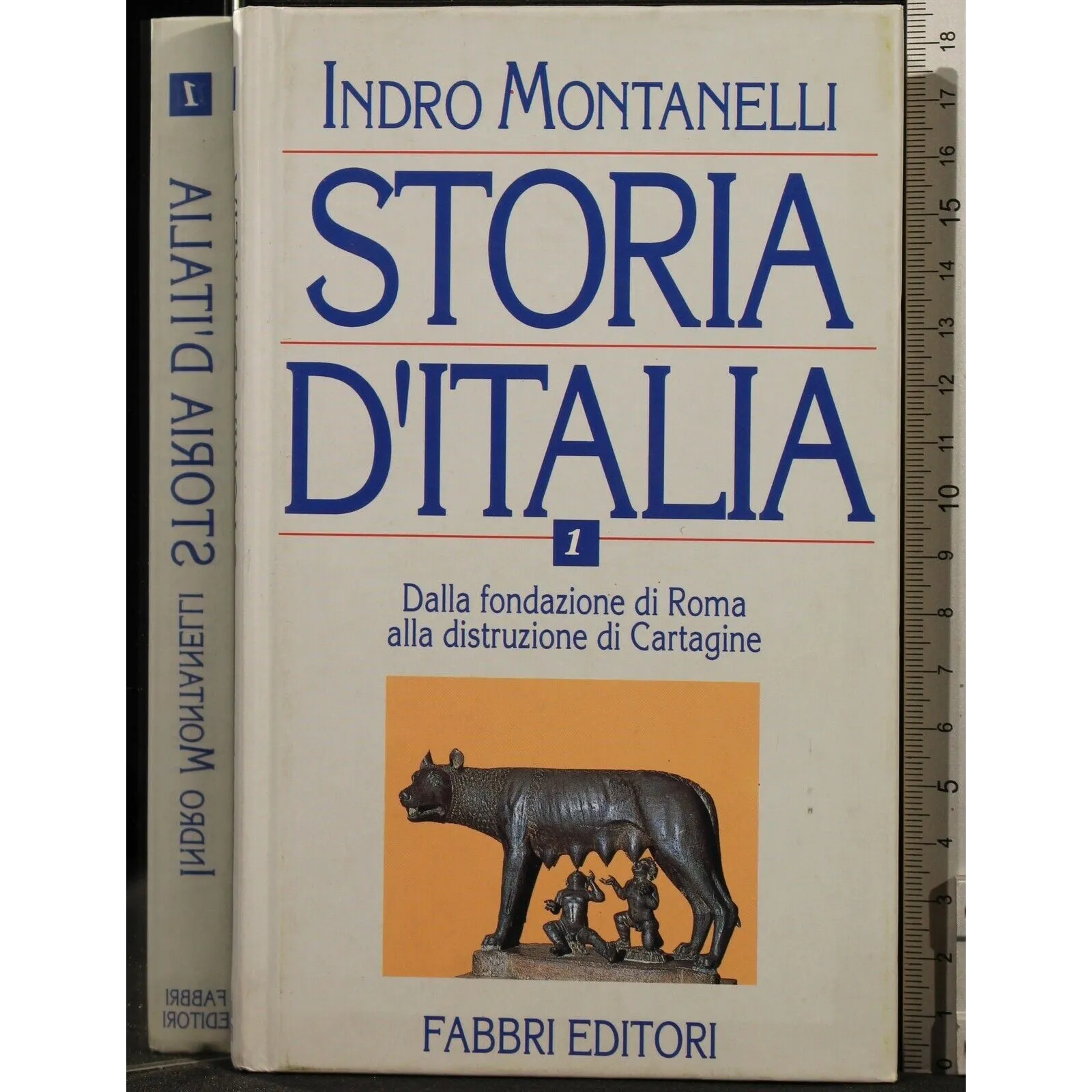 STORIA D'ITALIA. VOL 1