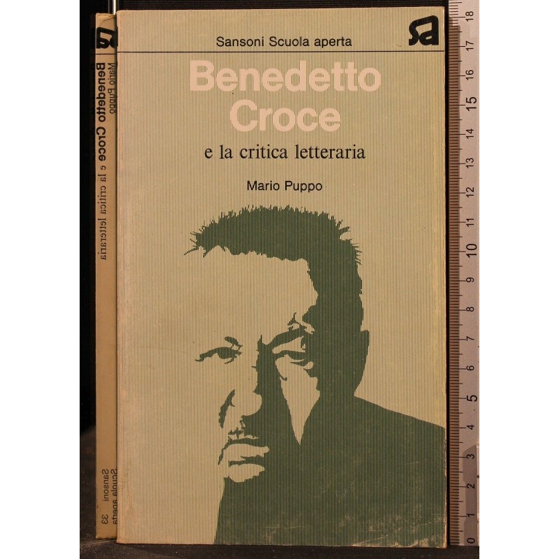 BENEDETTO CROCE E LA CRITICA LETTERARIA