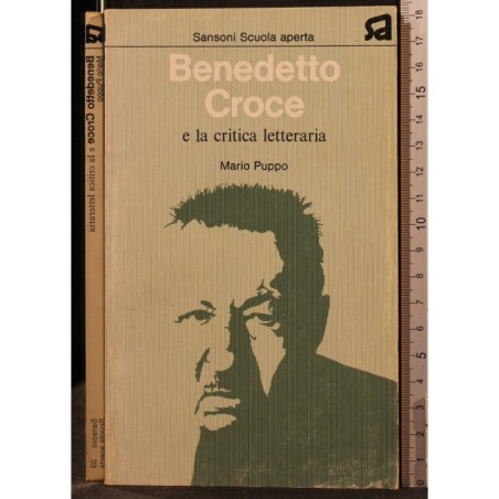 BENEDETTO CROCE E LA CRITICA LETTERARIA