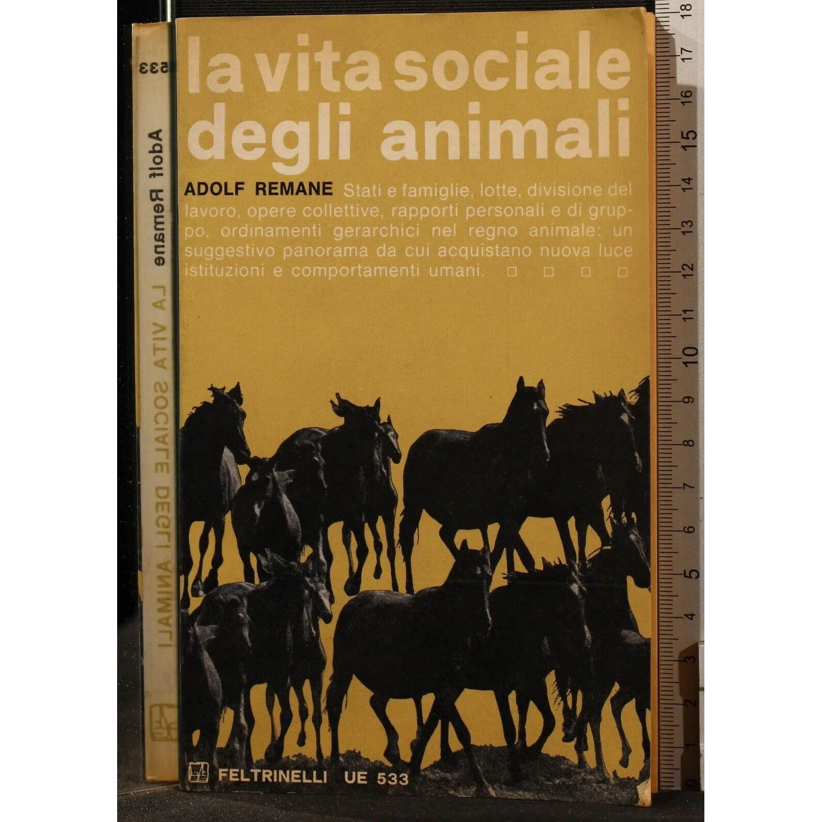 LA VITA SOCIALE DEGLI ANIMALI