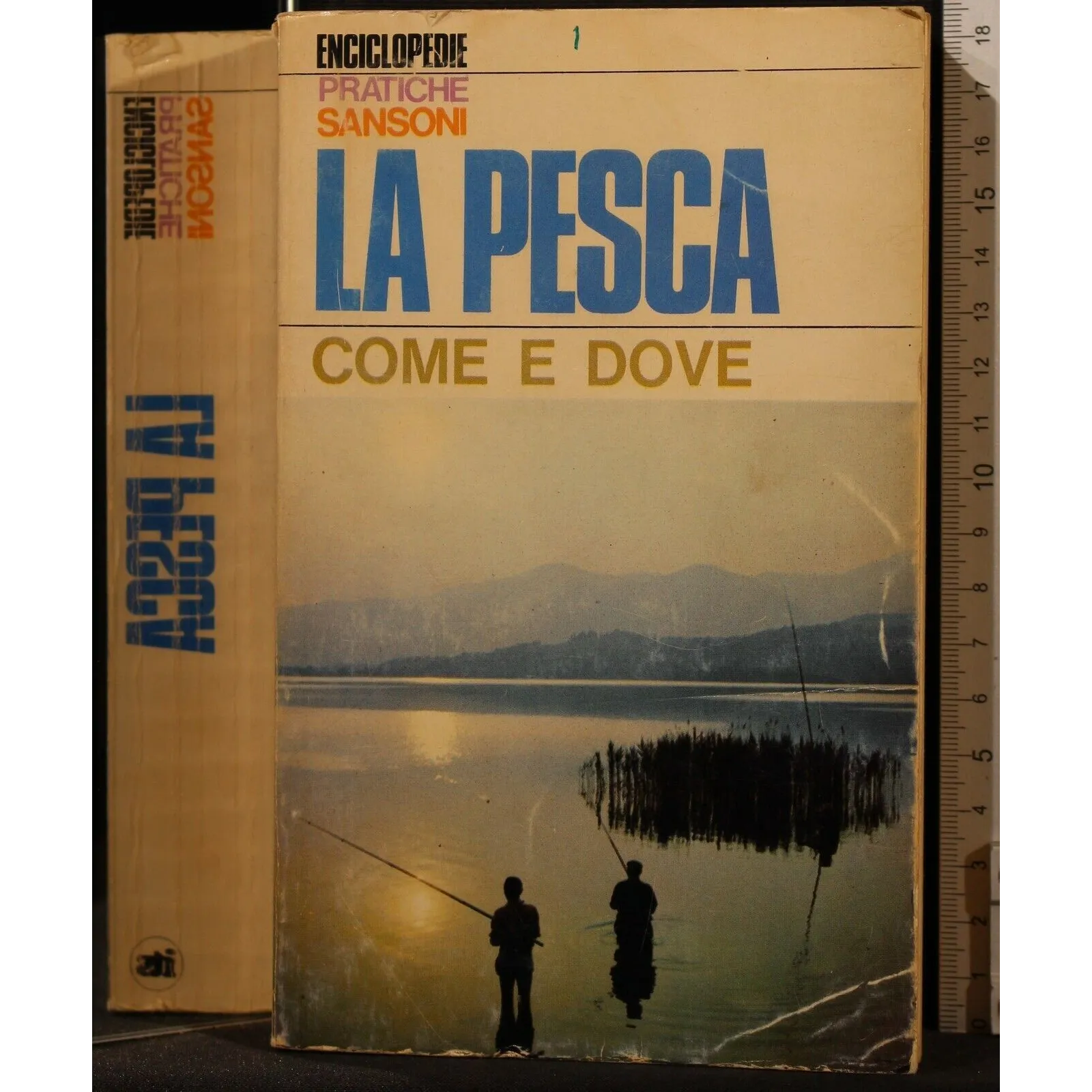 LA PESCA. COME E DOVE