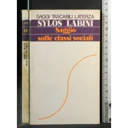 SAGGIO SULLE CLASSI SOCIALI