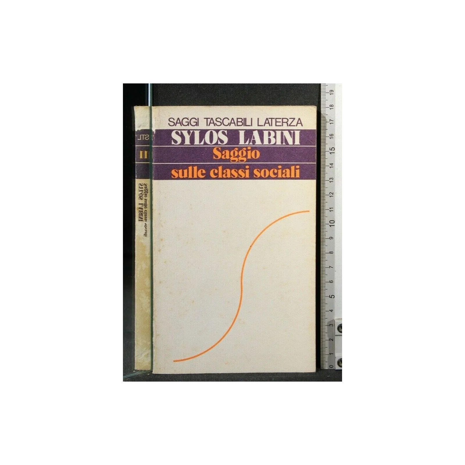 SAGGIO SULLE CLASSI SOCIALI