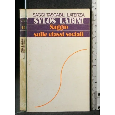 SAGGIO SULLE CLASSI SOCIALI