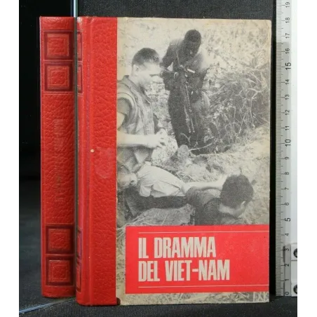 IL DRAMMA DEL VIETNAM