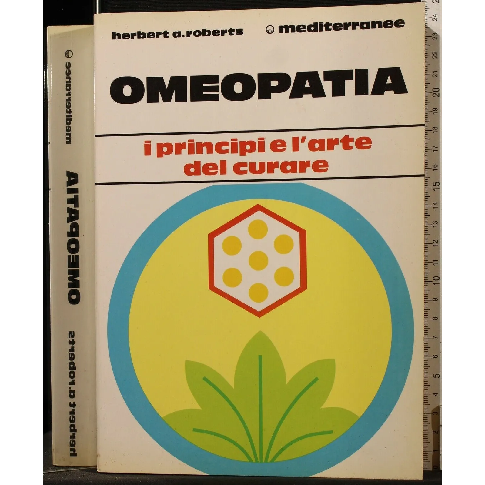 OMEOPATIA. I PRINCIPI E L'ARTE DEL CURARE