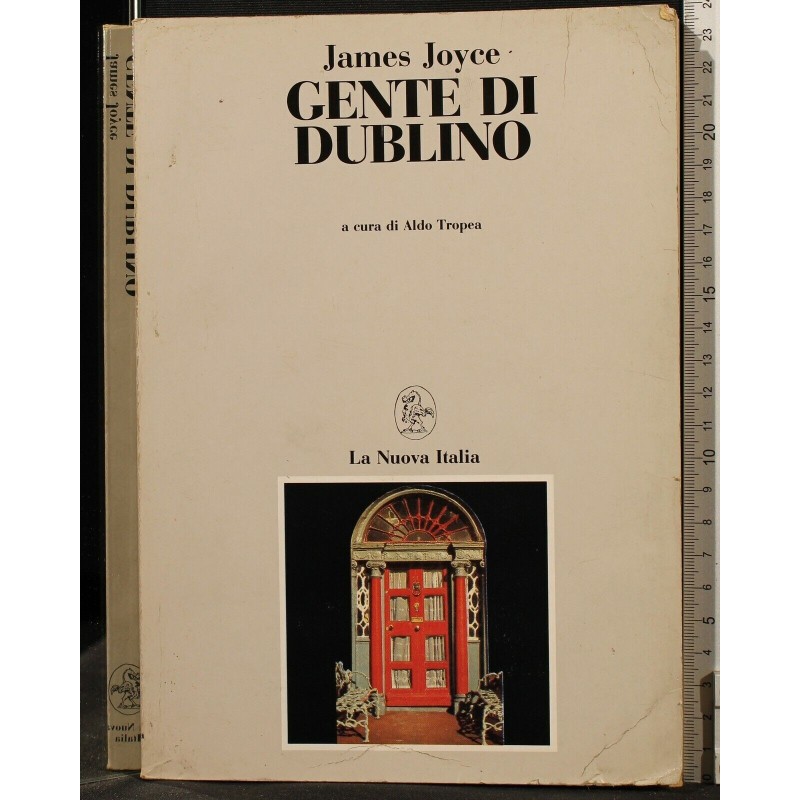 GENTE DI DUBLINO _x000D_