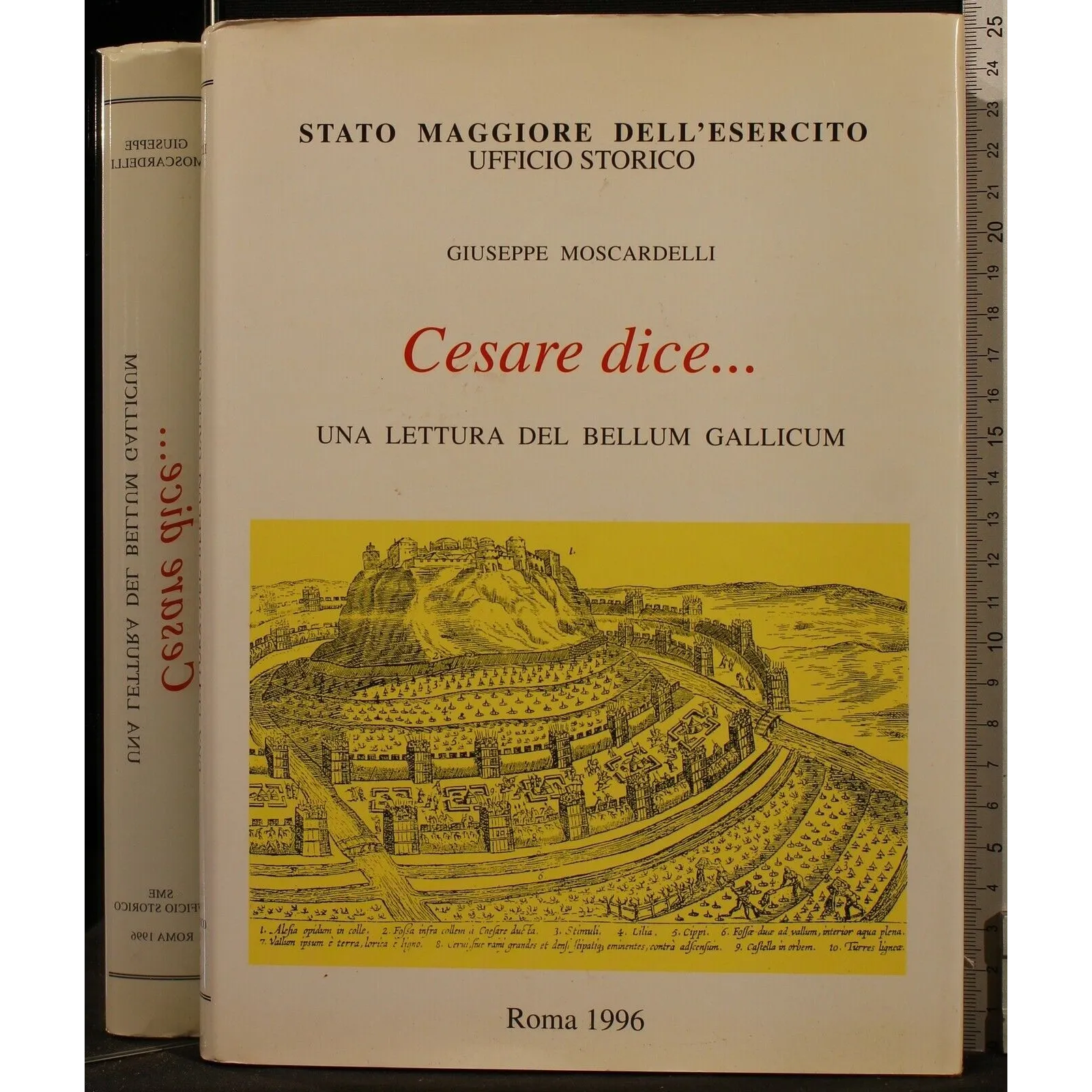 CESARE DICE… UNA LETTURA DEL BELLUM GALLICUM