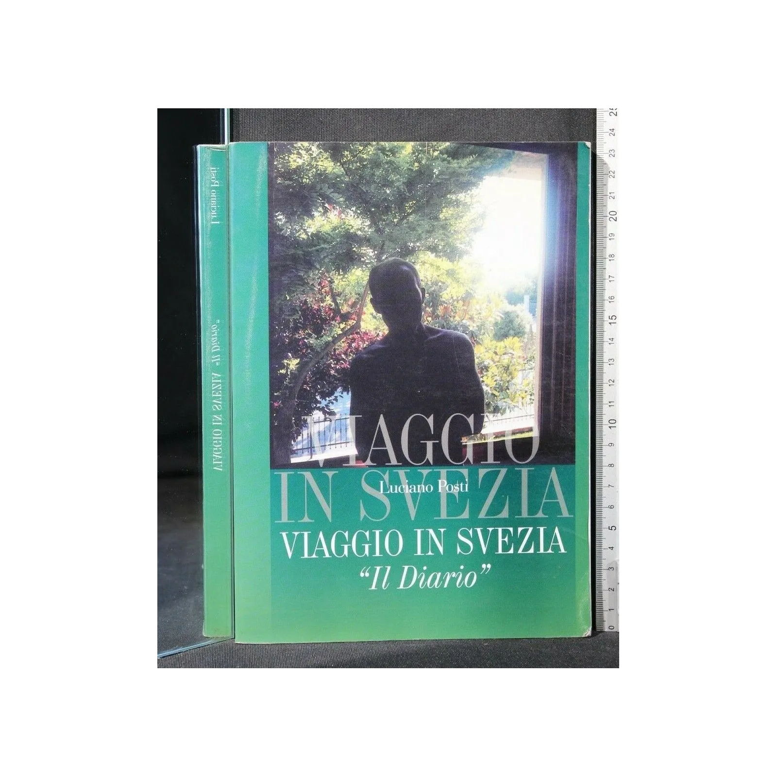 VIAGGIO IN SVEZIA ''IL DIARIO'' PRIMA PARTE