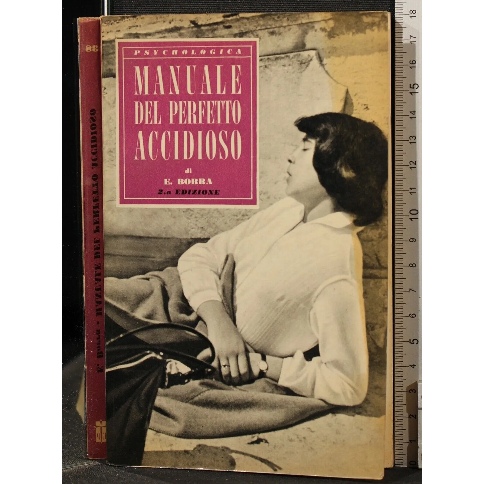 MANUALE DEL PERFETTO ACCIDIOSO