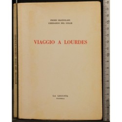 VIAGGIO A LOURDES _x000D_