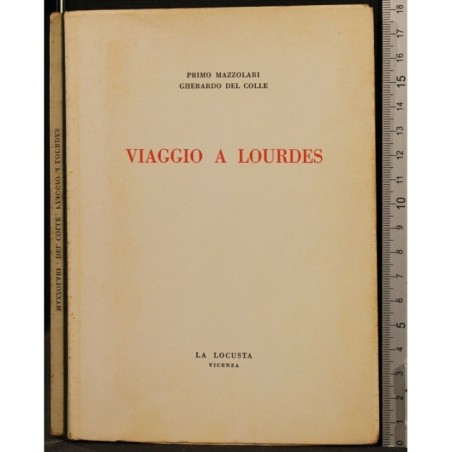 VIAGGIO A LOURDES _x000D_