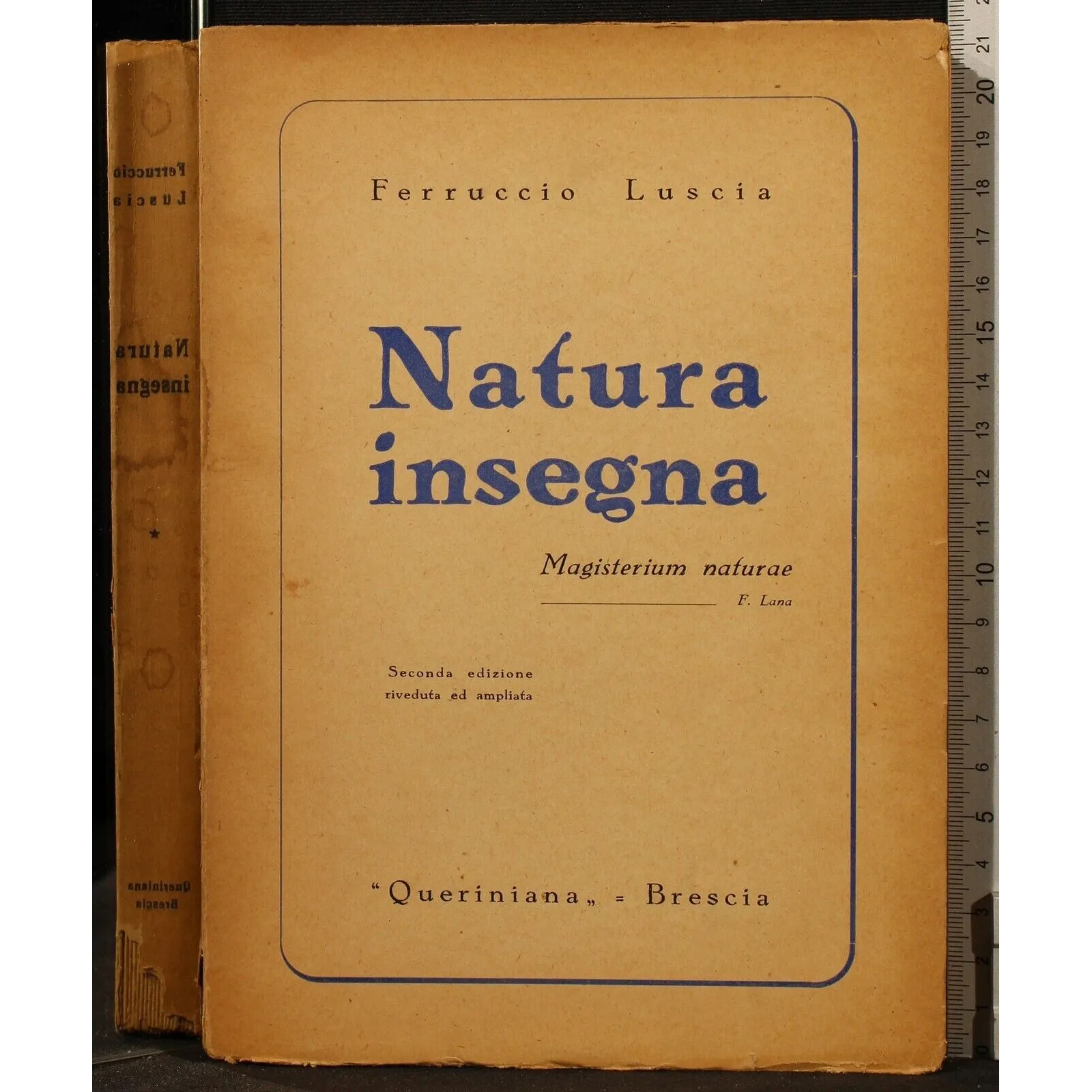 NATURA INSEGNA