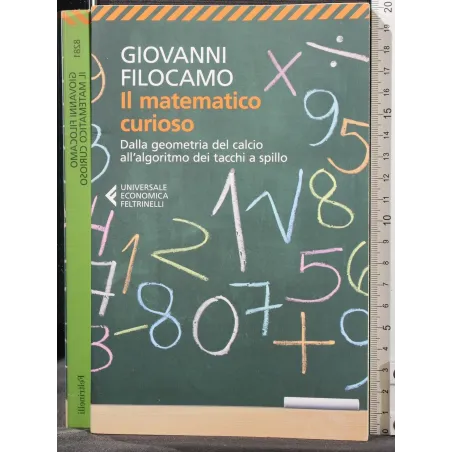 IL MATEMATICO CURIOSO