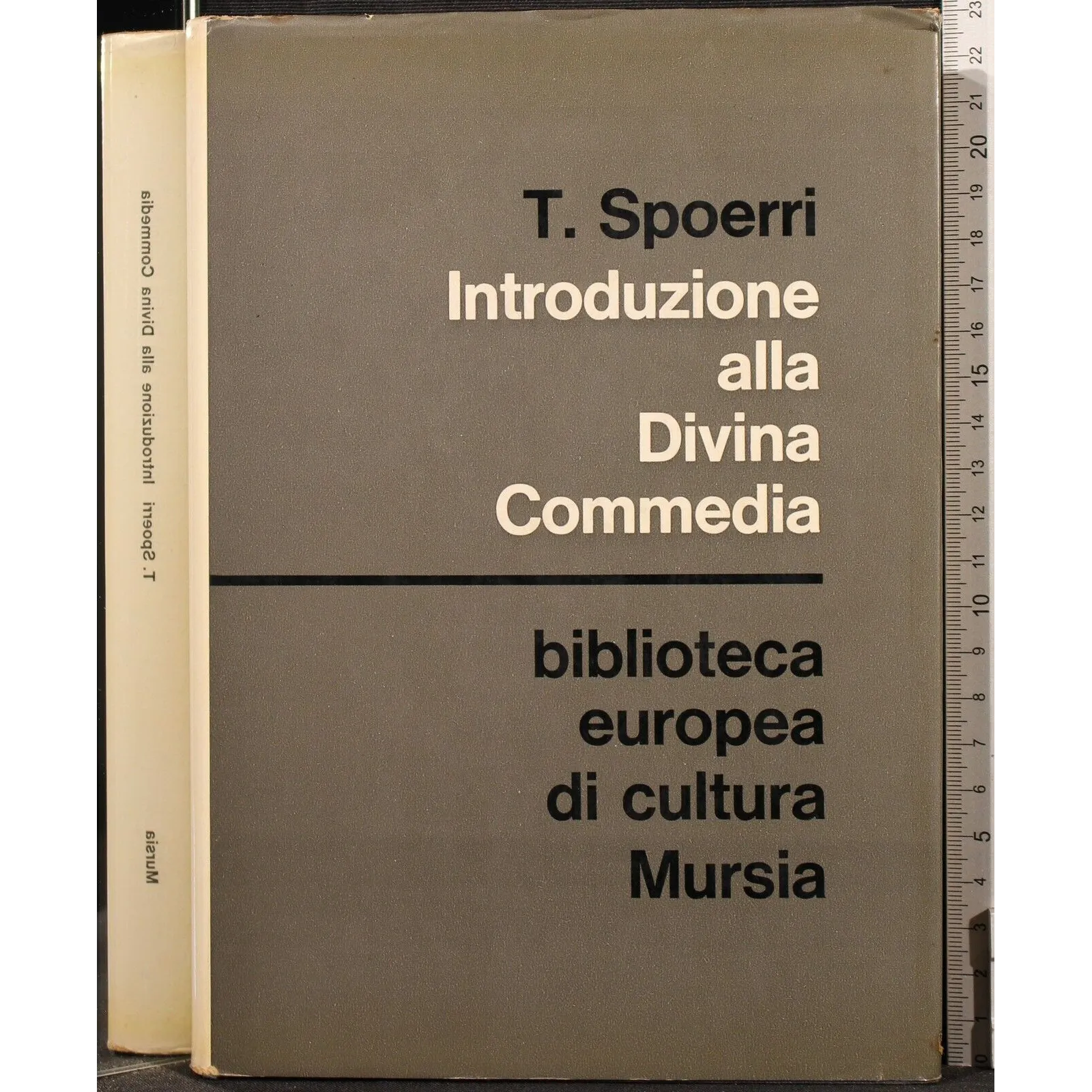 INTRODUZIONE ALLA DIVINA COMMEDIA