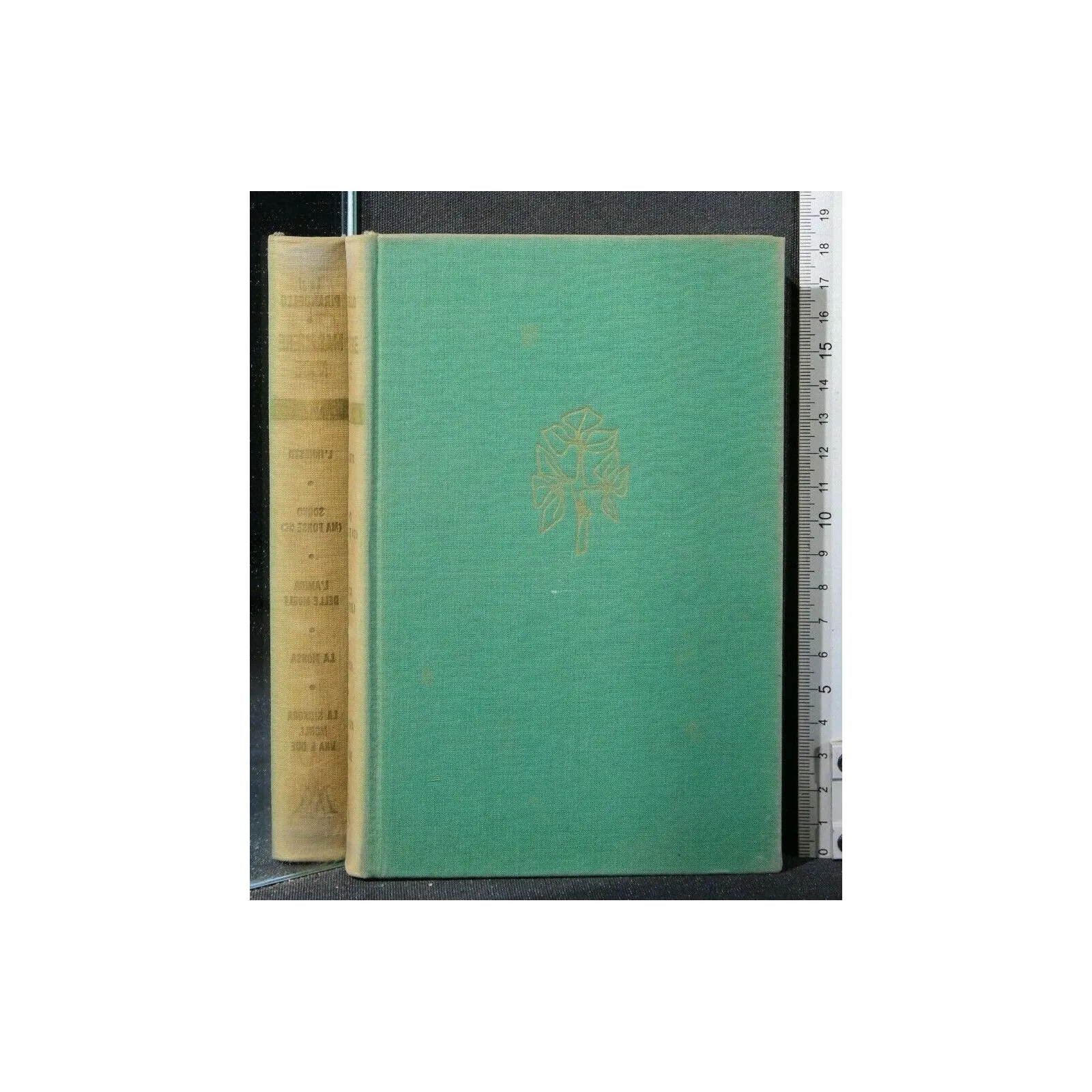 MASCHERE NUDE VOL VI