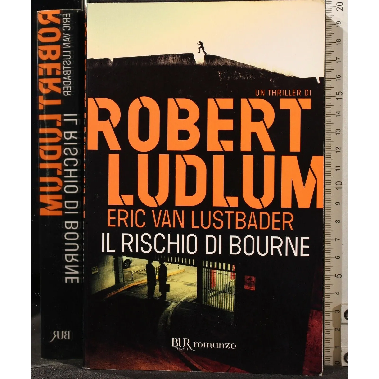 IL RISCHIO DI BOURNE _x000D_