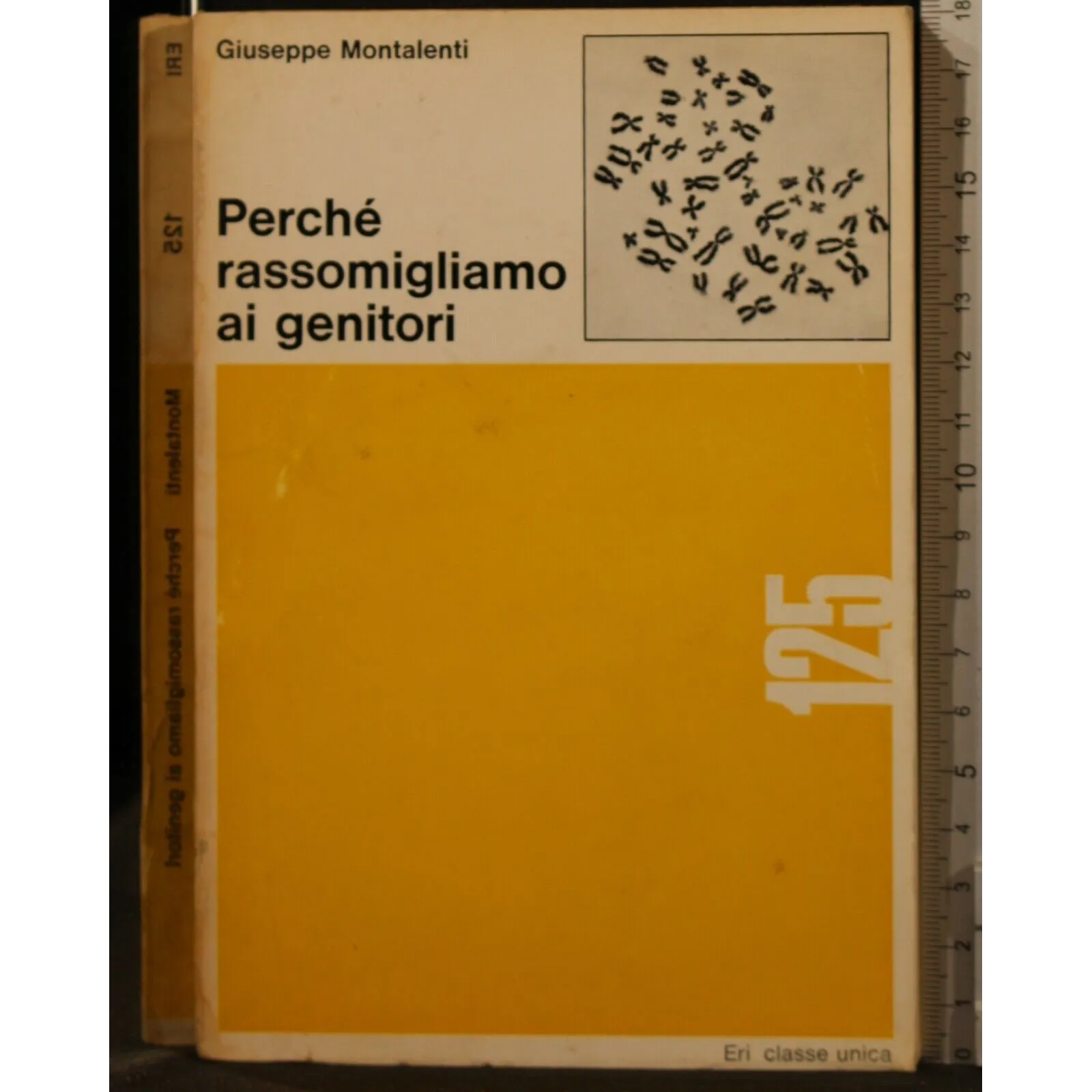 PERCHÉ RASSOMIGLIAMO AI GENITORI