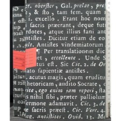IL VOCABOLARIO DEL 2000